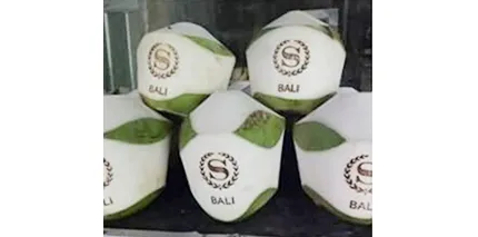 CO2 Flying Laser Marking Machine CO2 Flying Laser Marking Machine